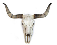 Lade das Bild in den Galerie-Viewer, Bullenschädel Bullen Schädel Skull Wicca Country Western Longhorn