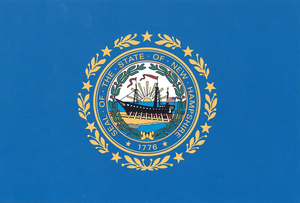 Flagge Fahne Sturmflagge USA New Hampshire 90 x 150 cm