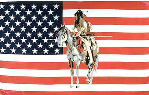 Flagge Fahne Sturmflagge USA Indian Horse 90 x 150 cm