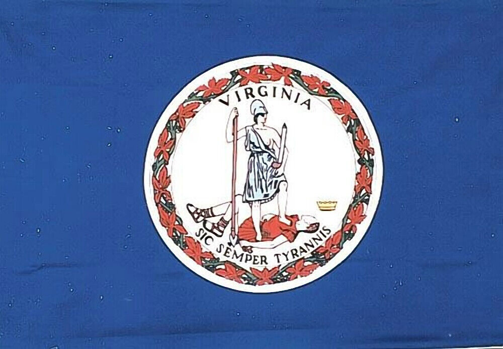 Flagge Fahne Sturmflagge USA Virginia 90 x 150 cm