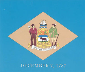 Flagge Fahne Sturmflagge USA Delaware 90 x 150 cm