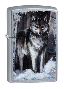 Zippo Feuerzeug Wolf in Forest in Zippobox
