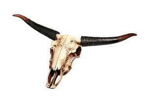 Deko Big Skull Büffelschädel Bullenschädel Longhorn Büffel Western Cowboy reiten