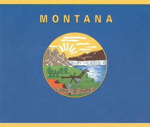 Flagge Fahne Sturmflagge USA Montana 90 x 150 cm