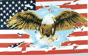 Flagge Fahne Sturmflagge USA Fliegender Adler 90 x 150 cm